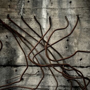 Фотография под названием "Entangled" - Elsa Lunghini, Подлинное произведение искусства, Цифровая фотография Установлен на Ал…