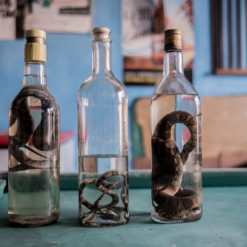 Photography titled "Cobras em cachaça" by Elton Abreu, Original Artwork, Digital Photography