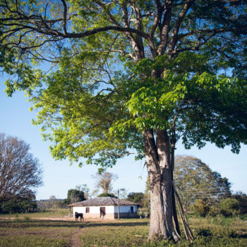 Fotografia zatytułowany „Uma casa no campo” autorstwa Elton Abreu, Oryginalna praca, Fotografia cyfrowa