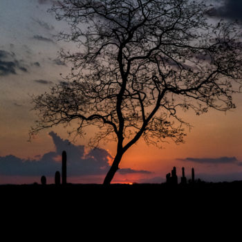 Fotografía titulada "Por do sol com silh…" por Elton Abreu, Obra de arte original, Fotografía digital