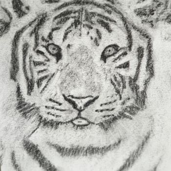 Dessin intitulée "Le Tigre Blanc" par Elwan Gété, Œuvre d'art originale, Fusain