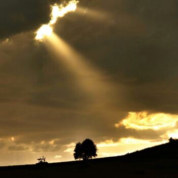 Photographie intitulée "Sunshine's" par Elzem, Œuvre d'art originale, Photographie numérique