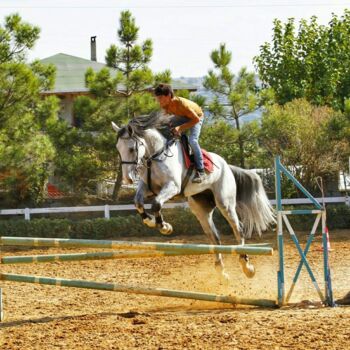 Fotografia intitolato "Horse" da Elzem, Opera d'arte originale, Fotografia digitale