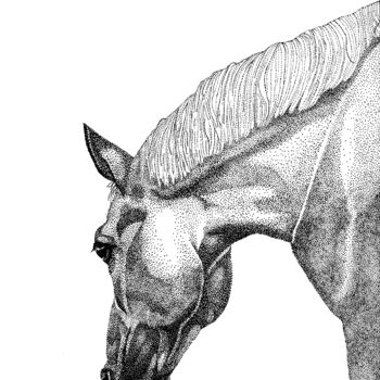 Drawing titled "Paard" by Elzem, Original Artwork, Ink