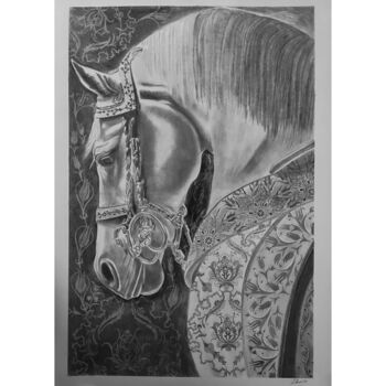 Drawing titled "A horse with Turkis…" by Elzem, Original Artwork, Charcoal