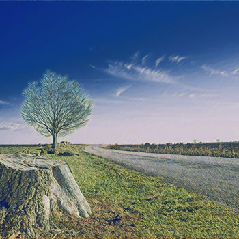 Photographie intitulée "Path of life" par Emanuele De Vincenzo, Œuvre d'art originale, Photographie numérique