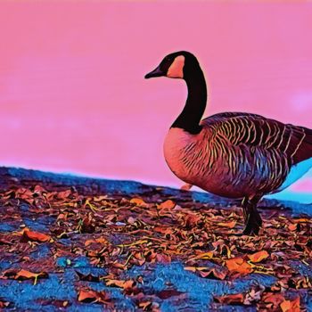 Fotografie getiteld "Coloured Goose" door Emanuele De Vincenzo, Origineel Kunstwerk, Gemanipuleerde fotografie