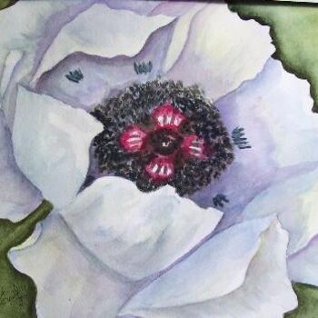 Pintura intitulada "White poppy SOLD" por Emilia, Obras de arte originais