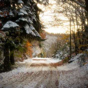 Photographie intitulée "Couleurs d'hiver 3" par Emilie Reydon, Œuvre d'art originale, Photographie numérique