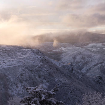 Fotografia intitulada "Matin glacé" por Emilie Reydon, Obras de arte originais