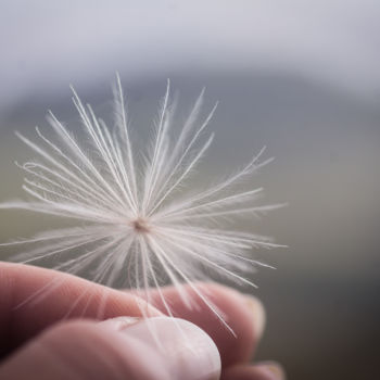 Photographie intitulée "Songe" par Emilie Reydon, Œuvre d'art originale