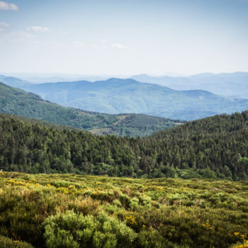 Photography titled "Cevennes" by Emilie Reydon, Original Artwork