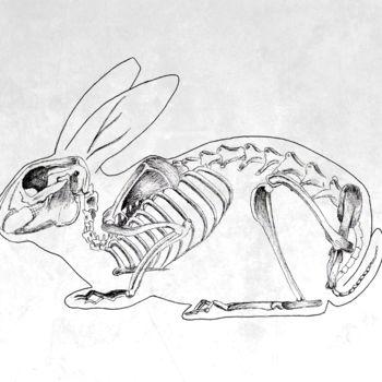 Drawing titled "rabbit.png" by Emilie Ringlet, Original Artwork