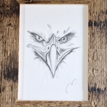 Drawing titled "Eagle" by Émilie Zahno, Original Artwork, Pencil Mounted on Cardboard