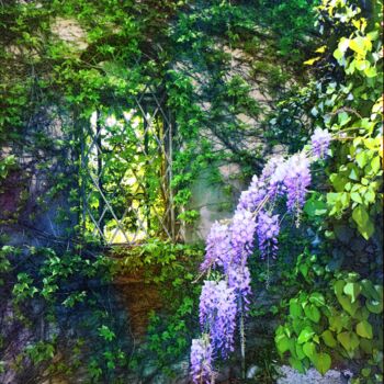 "Les fleurs de glyci…" başlıklı Fotoğraf Emma Laflute tarafından, Orijinal sanat, Dijital Fotoğrafçılık