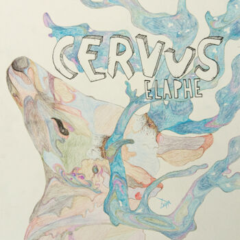 Zeichnungen mit dem Titel "Cervus" von Emma Plesse, Original-Kunstwerk, Bleistift