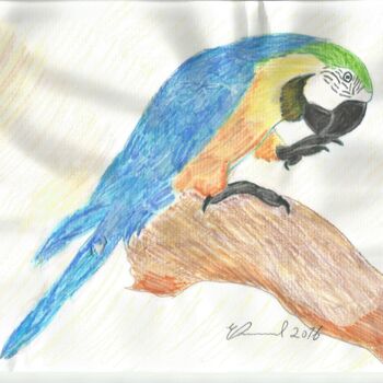 Картина под названием "A ave azul Brasil" - Emmanuel Costa, Подлинное произведение искусства, Маркер