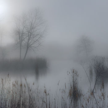 Fotografie getiteld "Mist covered swamp." door Emmanuel Raussin, Origineel Kunstwerk, Digitale fotografie