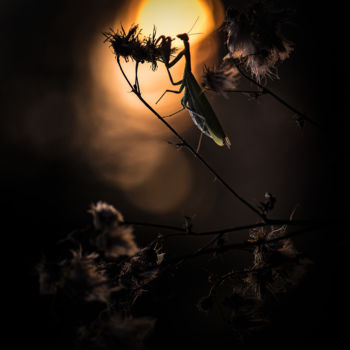 Photography titled "Midnight summer Man…" by Emmanuel Raussin, Original Artwork, Digital Photography