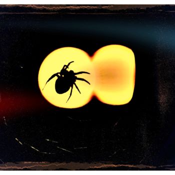 Arts numériques intitulée "Spider Moon" par Em'Art, Œuvre d'art originale, Photo montage