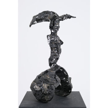Sculpture intitulée "Rise of Success" par Emre Aksu, Œuvre d'art originale, Fil de fer