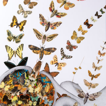 Dibujo titulada "Butterfly's in my b…" por Èmwé, Obra de arte original, Lápiz