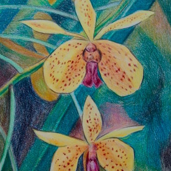 Drawing titled "Yellow Orchids" by Larissa Lukaneva, Original Artwork, Pencil