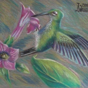 Dibujo titulada "Humming Bird" por Larissa Lukaneva, Obra de arte original, Otro