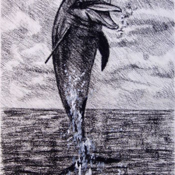 Drawing titled "Дельфин" by Larissa Lukaneva, Original Artwork, Charcoal
