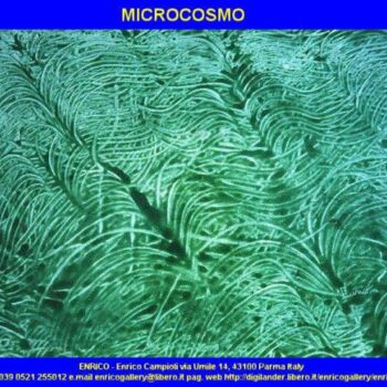 Ζωγραφική με τίτλο "Microcosmo" από Enrico Campioli, Αυθεντικά έργα τέχνης