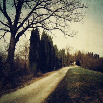 Photography titled "In the Lands of Mat…" by Enzo Crispino, Original Artwork, Digital Photography