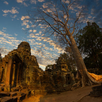 「Cambodia 2020」というタイトルの写真撮影 Epha Photosによって, オリジナルのアートワーク, デジタル