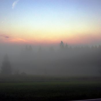 Fotografie mit dem Titel "Abendlicht im Wald" von Dirk Dahlmann, Original-Kunstwerk, Nicht bearbeitete Fotografie