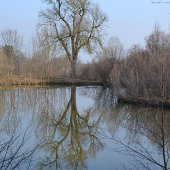 Photographie intitulée "Spiegelbild" par Dirk Dahlmann, Œuvre d'art originale, Photographie non manipulée