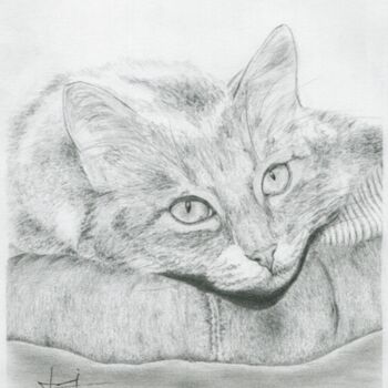 Drawing titled "Tendresse Féline" by Eric Chapon, Original Artwork, Graphite