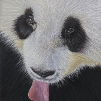 Картина под названием "Le regard du Panda" - Eric Delesalle, Подлинное произведение искусства, Пастель