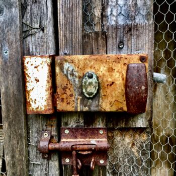 Fotografia intitolato "De rouille et de bo…" da Eric Leroy (Rico), Opera d'arte originale, Fotografia digitale Montato su Al…