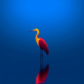 Фотография под названием "#4 - Colorful heron" - Eric Lespinasse, Подлинное произведение искусства, Цифровая фотография Уста…