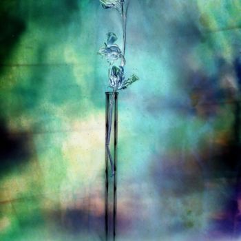 Photographie intitulée "Fleur sur Fond" par Eric Pelletier, Œuvre d'art originale, Photographie numérique