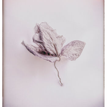 Fotografie getiteld "Eden | 12" door Eric Scibor-Rylski, Origineel Kunstwerk, Digitale fotografie