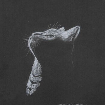Drawing titled "Le chat" by Eric Audry, Original Artwork, Chalk