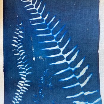 Photography titled "cyanotype de fougèr…" by Erick Philippe (eikioo), Original Artwork, Non Manipulated Photography