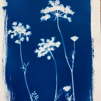 Фотография под названием "cyanotype fleurs d'…" - Erick Philippe (eikioo), Подлинное произведение искусства, Не манипулируем…