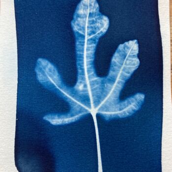 Φωτογραφία με τίτλο "cyanotype feuille d…" από Erick Philippe (eikioo), Αυθεντικά έργα τέχνης, Μη χειραγωγημένη φωτογραφία
