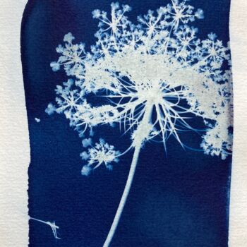 Photography titled "cyanotype fleur d'o…" by Erick Philippe (eikioo), Original Artwork, Non Manipulated Photography