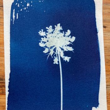 Photography titled "cyanotype fleur d'o…" by Erick Philippe (eikioo), Original Artwork, Non Manipulated Photography