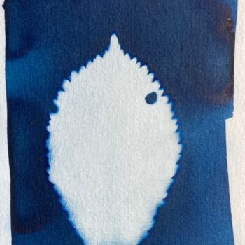 Fotografie getiteld "cyanotype feuille d…" door Erick Philippe (eikioo), Origineel Kunstwerk, Niet gemanipuleerde fotografie