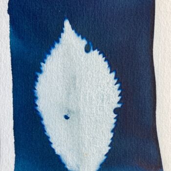 Fotografía titulada "cyanotype feuille d…" por Erick Philippe (eikioo), Obra de arte original, Fotografía no manipulada