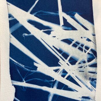 Fotografie mit dem Titel "cyanotype (2)" von Erick Philippe (eikioo), Original-Kunstwerk, Nicht bearbeitete Fotografie