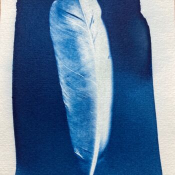 Fotografia intitulada "cyanotype d'une plu…" por Erick Philippe (eikioo), Obras de arte originais, Fotografia Não Manipulada